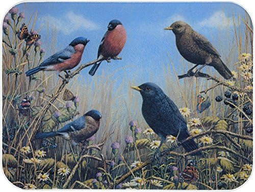 McGowan's TufTop Blackbird and Bullfinch Tempered Glass Cutting Board. 12 by 9 inches.