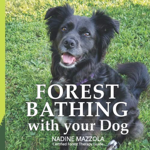 Forest Bathing with your Dog by Nadine Mazzola