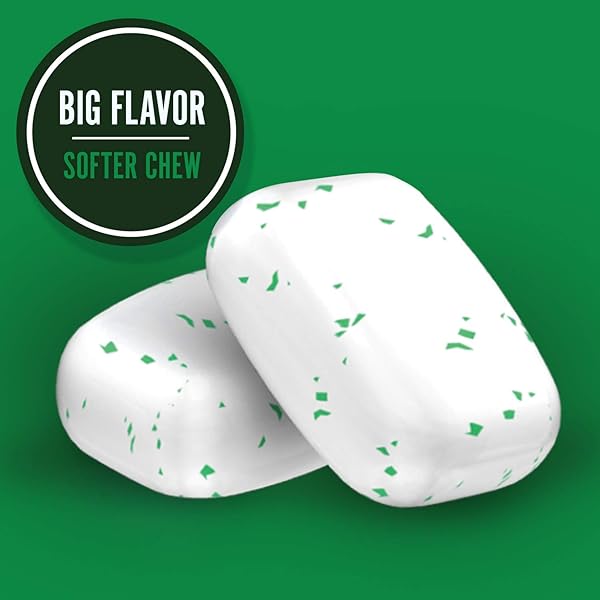 ORBIT WHITE SPEARMINT SUGARFREE GUM, 40 PIECE BOTTLE