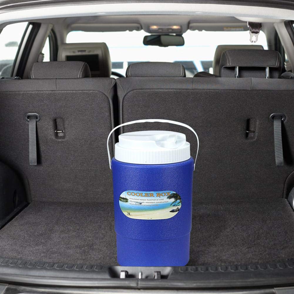 Knowled Caja de enfriamiento eléctrica o fría de 3 litros ...