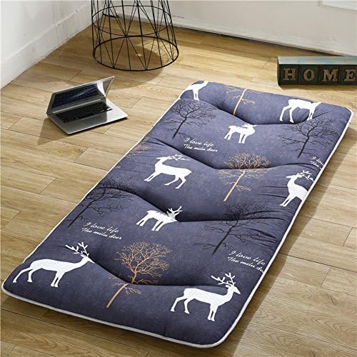RYQS Student Dormitory Folding Mattress,Portable Thicken Pad Tatami Floor mat For Home Camping-D 80x190cm(31x75inch)