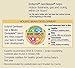 Enfamil Gentlease Non GMO Baby Formula, 20.4 Ounce (Pack of 4)