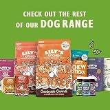 Lily's Kitchen Natural Dog Treats Multipack Beef Mini Burgers Duck Venison view 10