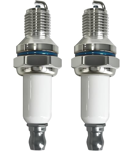 Amazon.com: Rotary 14308. SPARK PLUG CHAMPION RDZ4H. MTD 794-00082