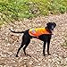 SafetyPUP XD Reflective Dog Vest. Hi-Visibility, Fluorescent Blaze Orange Dog Vest Helps Protect Your Best Friend. Safeguard Your PUP from Motorists & Hunting Accidents, On or Off Leash (Large)