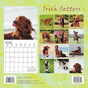 Irish Setters Calendar - 2017 Wall Calendars - Calendar 2016 - Dog Breed Calendars - Monthly Wall Calendar by Magnum