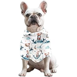 61Z2cSbLWfL. AC UL250 SR250,250