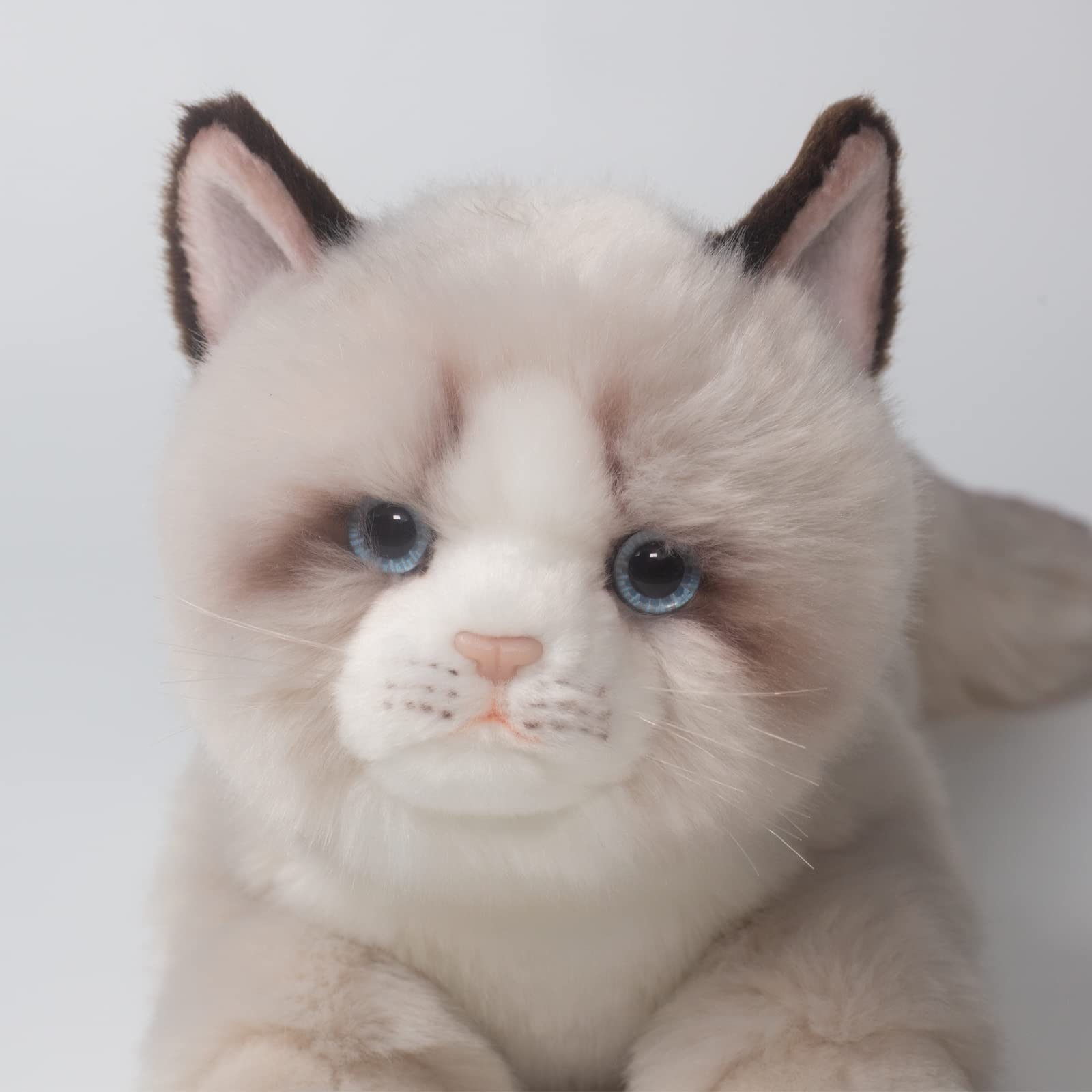 Photo 1 of CU-MATE 20 Inch- Gray Ragdoll Cat Plush Stuffed Animal Toys -Realistic Ann Baker Cat Handmade Plush Pet Present Gift 