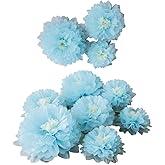 Mybbshower 9pcs Mixed 7'' 9'' 11'' Blue Tissue Paper Pom Poms Flower for It's A Boy Baby Shower Birthday Nursery Room Decorations