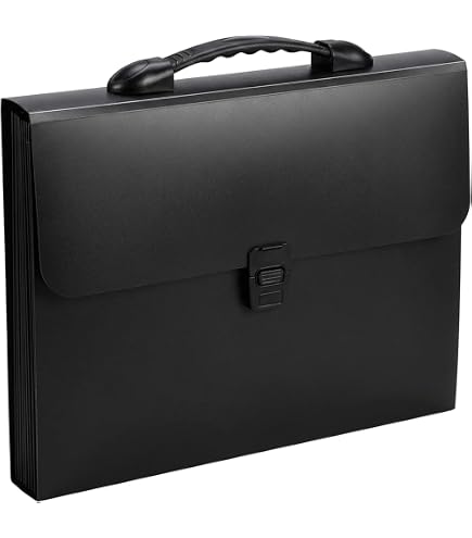 Amazon.com : Legal Size 13 Pocket Accordian File Organizer