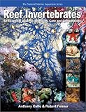 Reef Invertebrates: An Essential Guide to