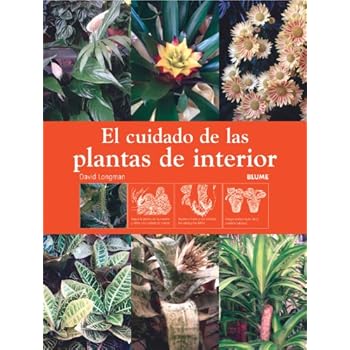 El cuidado de las plantas de interior El cuidado de las plantas de interior