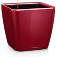 Lechuza Self Watering Plant Pot Quadro LS 28 Garden Flower Indoor Outdoor Table Plastic Small Planter with Drainage Hole H26 L28 W28 cm Scarlet Red High-Gloss