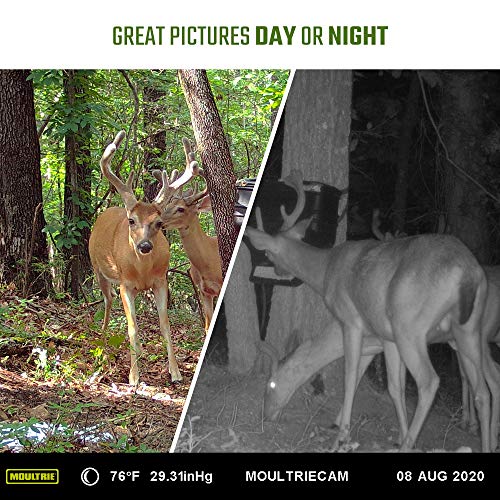 Moultrie Mobile XA6000 Cellular Trail Camera AT&T Network, Moultrie