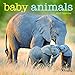 TF Publishing 2017 Baby Animals Mini Calendar (17-2000)
