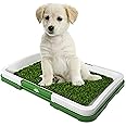 Artificial Grass Pee Pad Set for Dogs (Synthetic Plastic Grass) - Reusable Puppy Essential for Potty Training Small Pets Indoors and Outdoors by PETMAKER (Green)