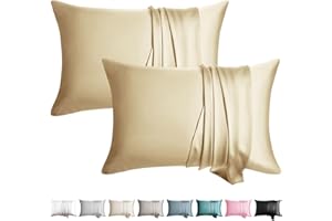 WLOSJ 100% Silk Pillowcase for Hair and Skin Toddler Size 2 Pack Mulberry Silk Pillow Case 13 x 18 Inches Highest 6A Silk Kids/Travel Pillow Cover Soft Breathable Cooling with Hidden Zipper, Champagne