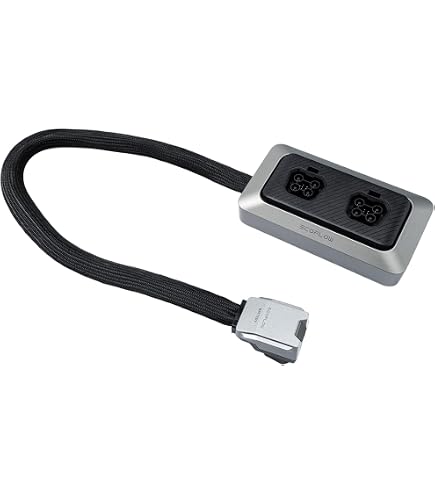 Amazon.com: SAGUCFS for EcoFlow Extra Battery Cable XT150
