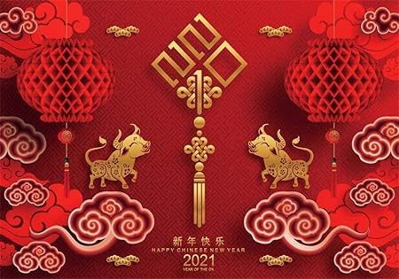 Amazon 新しい7x5ft 2頭の牛の赤い提灯21背景写真の伝統的な中国の旧正月ポスターバナー年の牛春祭りの装飾壁紙写真スタジオ小道具ビニール バックペーパー 背景布 通販