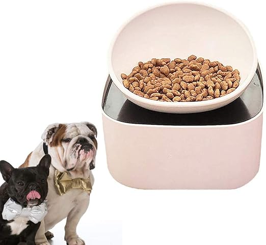 french bulldog food bowl