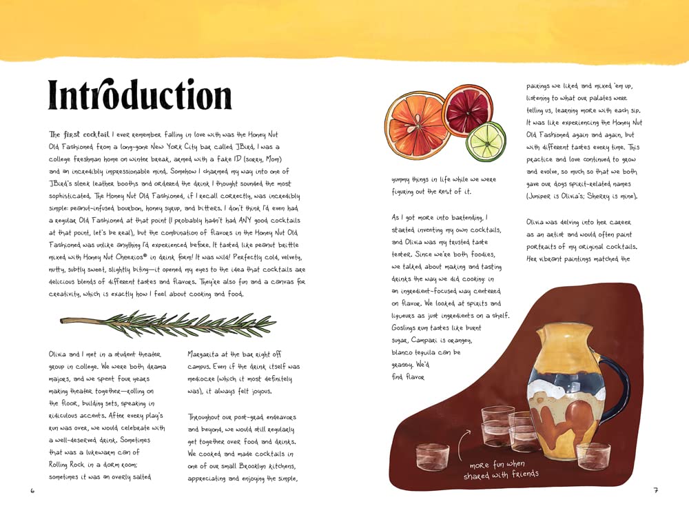 Cocktails in Color: A Spirited Guide to the Art and Joy of Drinkmaking - A Cocktail Book