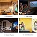 2018 Projector (Warranty Included), XINDA LCD LED Mini Multi-Media Portable Video Projector Game Home Cinema Theater Support HD 1080P HDMI USB SD AV-0036B