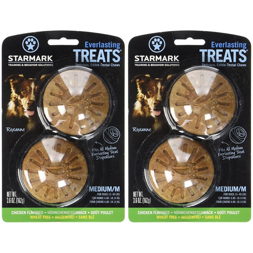 Starmark Everlasting Dog Treat Chicken, Medium (Pack of 2) โ image 1