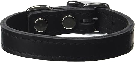 Omnipet Signature Leather Dog Collar 2025