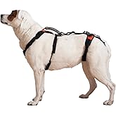 Help 'Em Up® - Dog Lift Harness│ Adjustable Lifting Harness for Dogs │ Full Body Support, Rear Leg Support (Conventional, Medium)