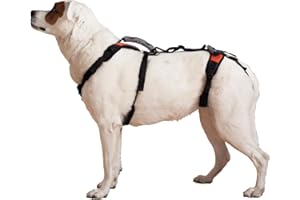 Help 'Em Up Harness │ Adjustable Lifting Harness for Dogs │ Full Body Support, Hind Leg Support (Conventional, Medium)