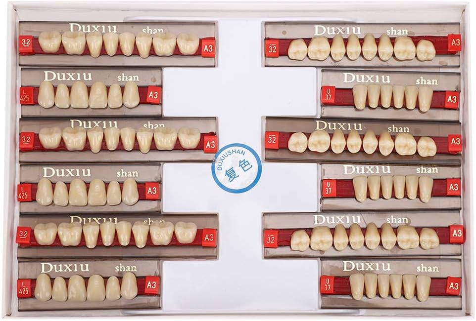 Diente de resina sintética, resina sintética dental Dientes postizos Material dental Dientes Dentadura Suministros de dentista