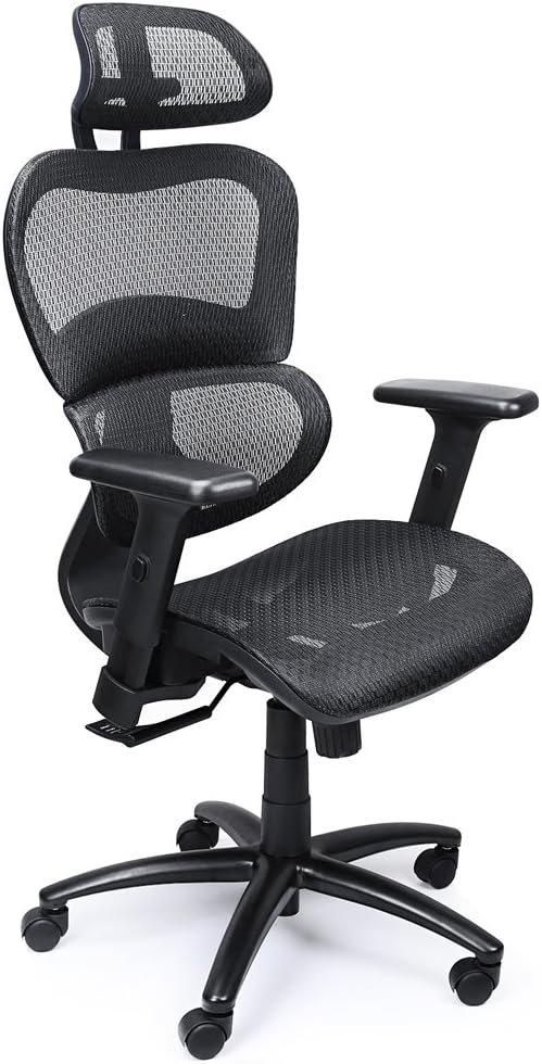 mysuntown Ergonomic Chair with Back Support, Adjustable Headrest & Armrests,Office Task Chair, Mesh Chair for Home or Office, Black