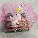 PINVNBY Small Animal Activity Toy,Pets Play Chew Toys for Bunny Rabbits Guinea Pigs Gerbils, 4 Pack
