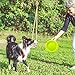 LaRoo Dog Disc Indestructible Dog Flying Disc Dog Toys Flyer Small, Medium Large Dogs