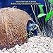 SunGrow Coco Hut for Pets, 5x3 Inches, Smooth-edged Coconut Shell, Compact, Spacious, Perfect Hideout for Your Fish, 1 Piece