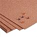 Manton Cork Premium Cork Roll - 4' x 8' x 1/4
