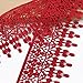 Lace Trim Applique 4 Yards DIY Craft Clothing Sewing Accessories Cotton Lace (Red)