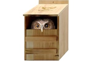 WildYard Owl House - Cedar Wood - Already Assembled - Prebuilt Barn Owl Nesting Box - Easy Hang & Clean - Includes Wood Shavings & Screws - Outdoor Wildlife Shelter