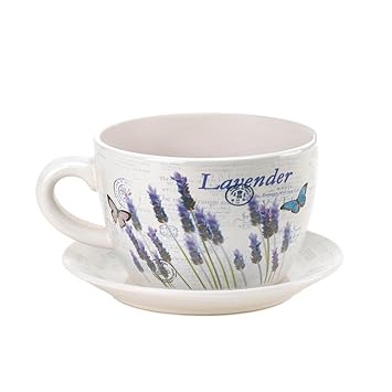 Teacup Garden Planter Large Teacup Decorative Outdoor Planters