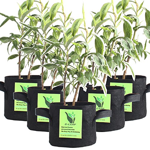G-LEAF Grow Bag, 3-Gallon 5-Bag Grow Pot for Plant