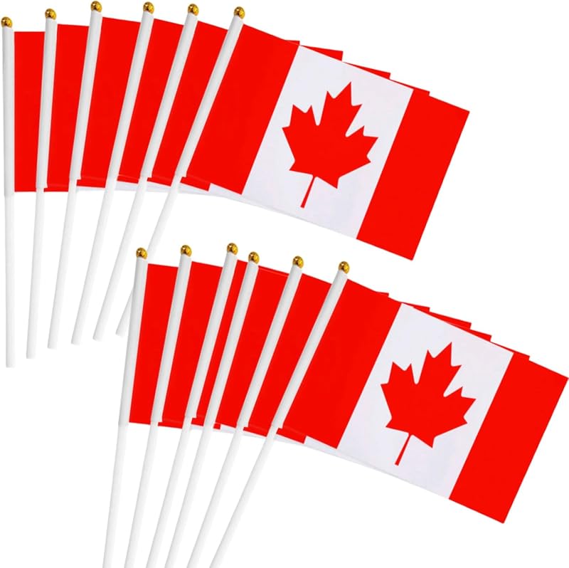 BigTree 50 Mini Canadian Flags on Sticks for Party & Events