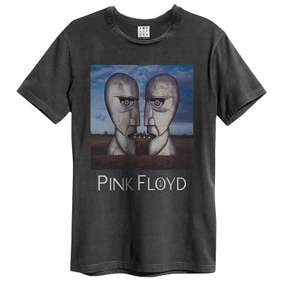 Amplified Pink Floyd The Division Bell T-Shirt Clothing