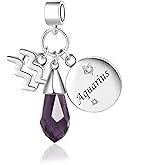 SBI Jewelry Zodiac Charms Compatible with Pandora Bracelets 12 Constellation Birthday Dangle Pendant Birthstone Charms for Women Jewelry