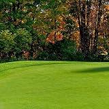 Penncross Creeping BentGrass Seeds, 5 Pounds