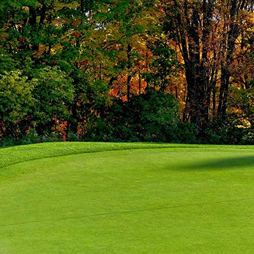 Penncross Creeping BentGrass Seeds, 5 Pounds