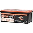 LIPULS 12V 200Ah Plus LiFePO4 Lithium Battery, Built-in 200A BMS, Up to 15000 Deep Cycles, Max. 2560W Power Output, 10-Year Lifetime, Deep Cycle Battery Perfect for RV, Solar, Marine, Off-Grid, etc