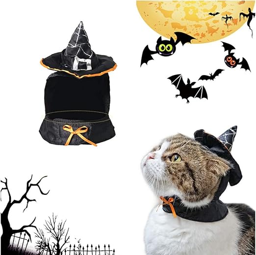 Hillento Cute Manteau A Capuchon Sorciere Costume D Halloween Sorcier Pour Petits Chiens Chaton De Chat Costume De Chat Amazon Fr Animalerie
