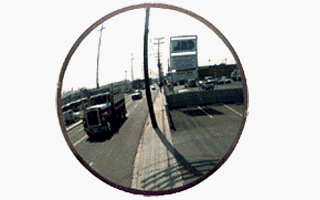 See All SNO12 Convex Mirror, Shatter Resistant Glass Face, Outdoor Use, 12" Diameter