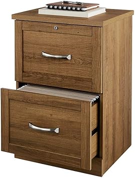 Amazon Com Realspace Premium 17 D 2 Drawer Vertical File Cabinet