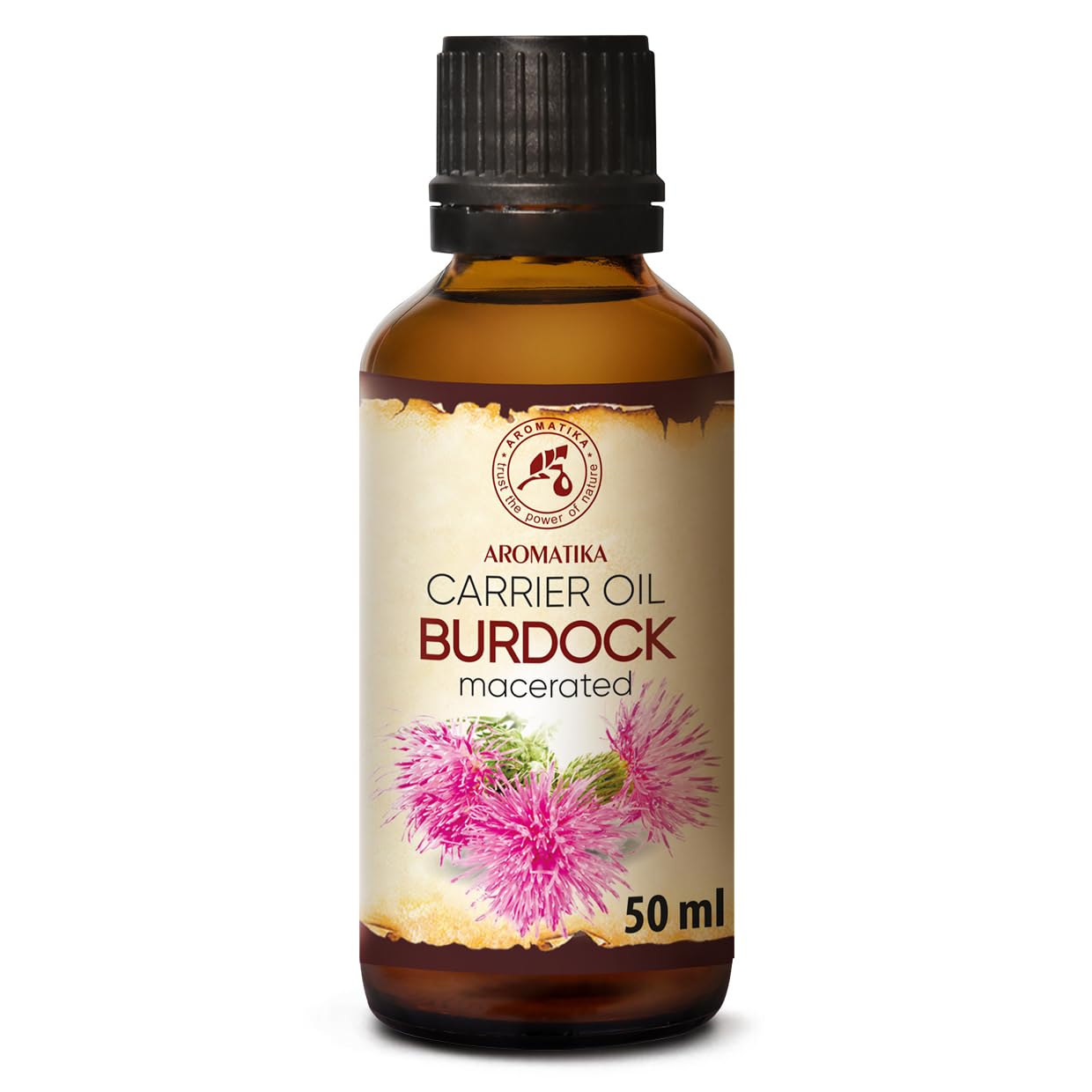 Burdock Oil 50ml - Arctium Lappa Root Extract - 100% Pure & Natural - Best Hair Oil - Great Benefits for Skin - Hair - Face - Body Care - Glass Bottle - Oils Burdock Seed
